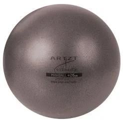 Gaiam Shop 26 ARTZT Vitality Miniball