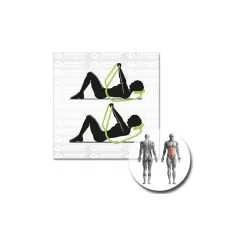 Schildkröt Fitness AB-Trainer Classic - Functional Training 14 Schildkröt Fitness AB-Trainer Classic - Functional Training -Gaiam Shop schildkroet fitness ab trainer classic functional training detail 4