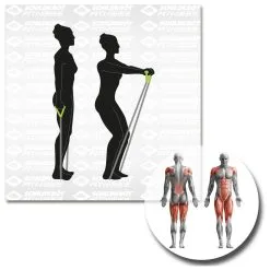 Schildkröt Fitness Expander Set Pro - Resistance Band 15 Schildkröt Fitness Expander Set Pro - Resistance Band -Gaiam Shop schildkroet fitness expander set pro resistance band detail 6