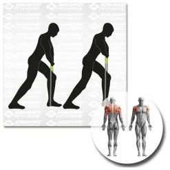 Schildkröt Fitness Expander Set Pro - Resistance Band 16 Schildkröt Fitness Expander Set Pro - Resistance Band -Gaiam Shop schildkroet fitness expander set pro resistance band detail 7