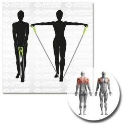 Schildkröt Fitness Expander Set Pro - Resistance Band 17 Schildkröt Fitness Expander Set Pro - Resistance Band -Gaiam Shop schildkroet fitness expander set pro resistance band detail 8