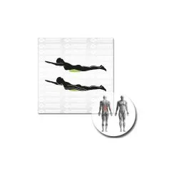 Schildkröt Fitness Inflatable Balancing Cushion 24 Schildkröt Fitness Inflatable Balancing Cushion -Gaiam Shop schildkroet fitness inflatable balancing cushion detail 11