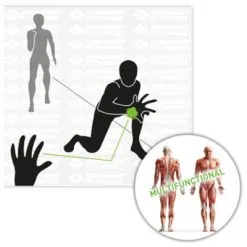 Schildkröt Fitness Reaction Ball - Functional Training -Gaiam Shop schildkroet fitness reaction ball functional training detail 5