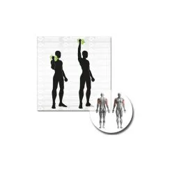 Schildkröt Fitness Short Dumbbell Set -Gaiam Shop schildkroet fitness short dumbbell set detail 4