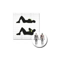 Schildkröt Fitness Short Dumbbell Set -Gaiam Shop schildkroet fitness short dumbbell set detail 5