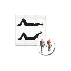 Schildkröt Fitness Short Dumbbell Set -Gaiam Shop schildkroet fitness short dumbbell set detail 6